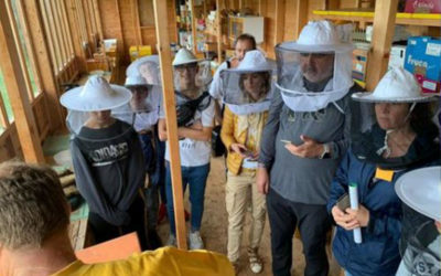 El prestigioso boletín EfVET recoge el proyecto BEECOME, en el que participa la EFA La Malvesía