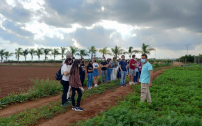 Visita escuela de magisterio. UV